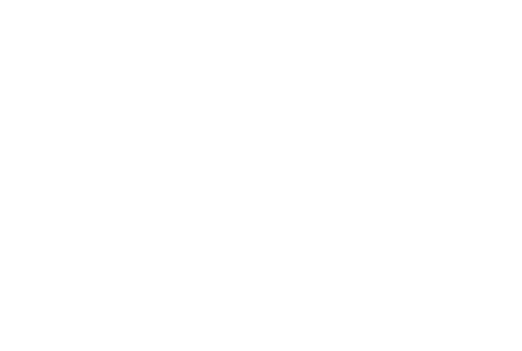 BCG logo white png